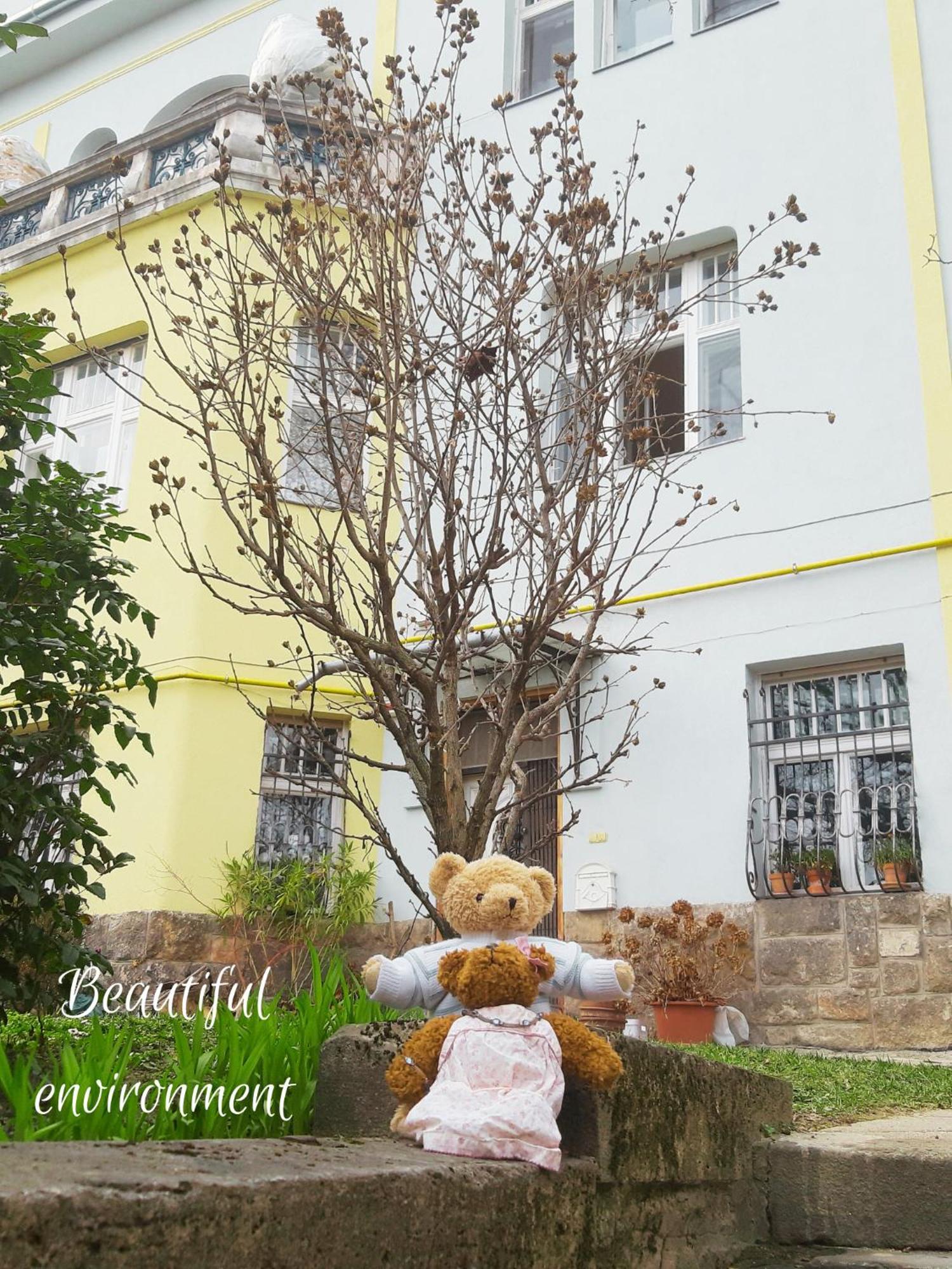 Green Hill Apartment Budapeste Exterior foto