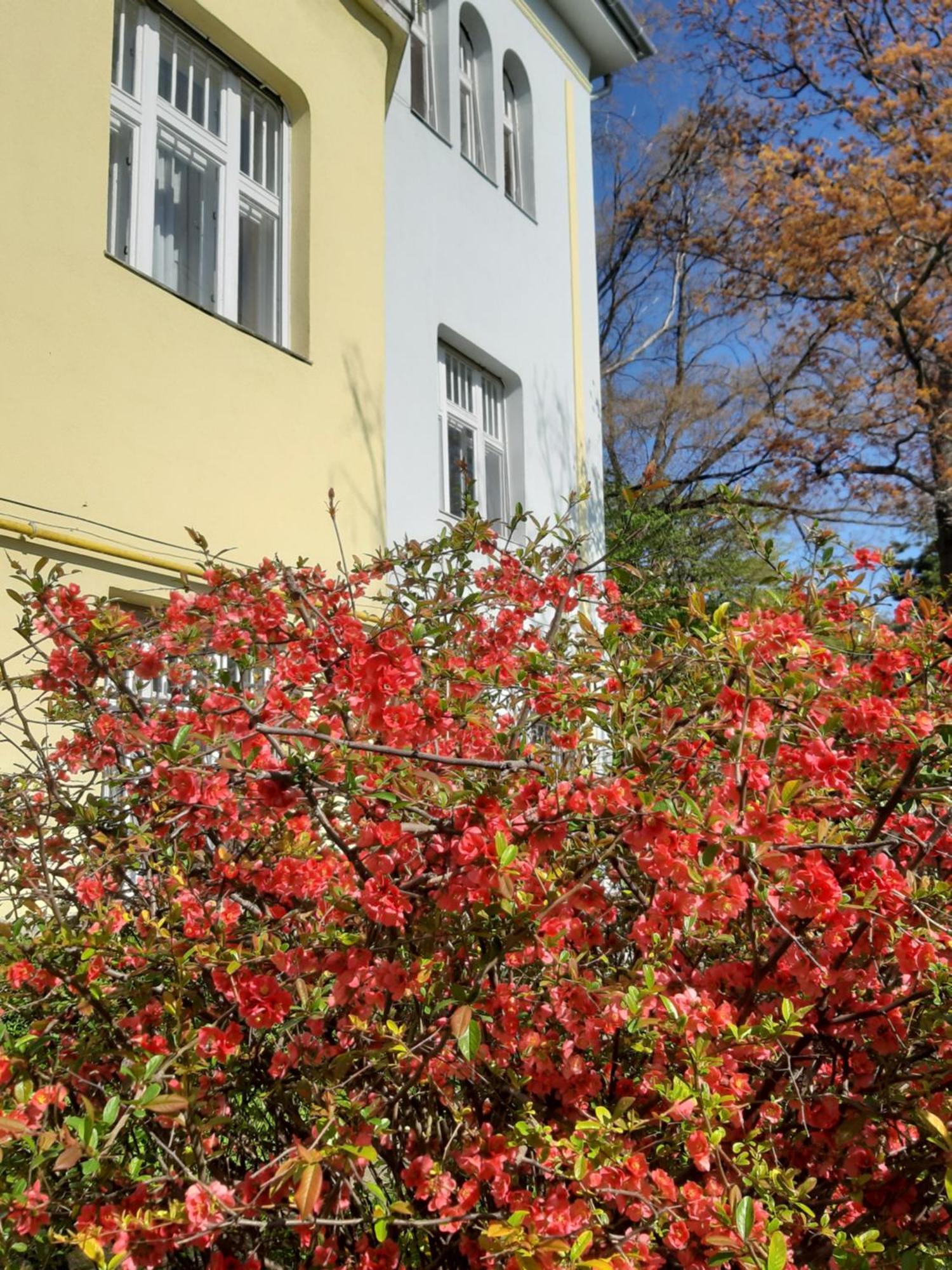 Green Hill Apartment Budapeste Exterior foto